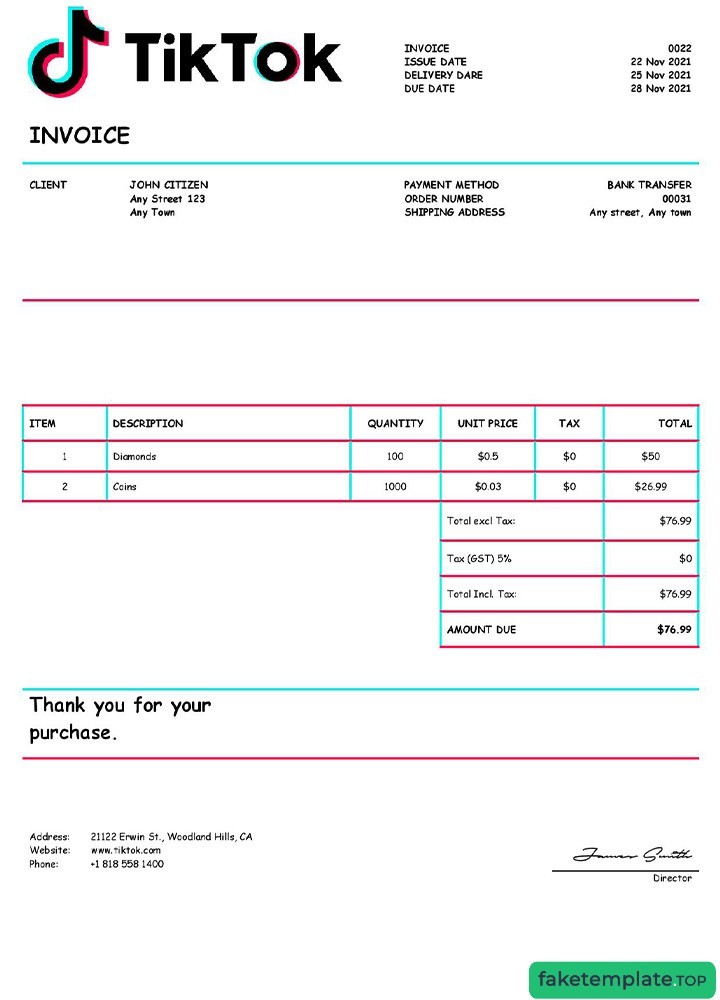 Feature of fake USA Tik Tok invoice example